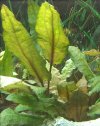 IMG_20160226_230351.jpg