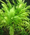 IMG_20160226_230252.jpg