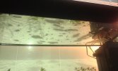 IMG-20160227-WA0008.jpeg
