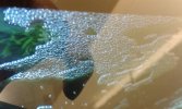 20160227_014943.jpg