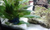 20160227_081612.jpg