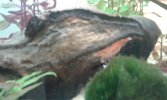 20160305_153008.jpg