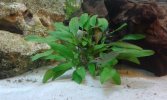 20160305_153014.jpg
