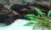 20160305_153037.jpg