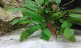 20160305_170936.jpg