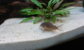 20160305_153158.jpg