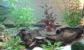 20160305_153425.jpg