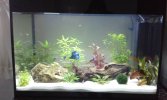 20160305_153825.jpg