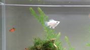 20160309_211407.jpg