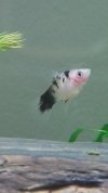 20160309_235114.jpg