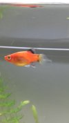 20160309_235049.jpg