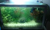 IMG-20160311-WA0066.jpeg IMG-20160311-WA0066.jpeg