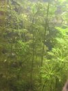 IMG-20160312-WA0015.jpg