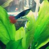 CYMERA_20160315_120505.jpg