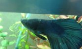 20160317_232643.jpg 20160317_232643.jpg