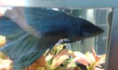 20160317_232617.jpg 20160317_232617.jpg