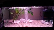 IMG-20160328-WA0056.jpeg