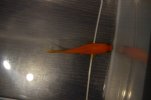 DSC02810.JPG