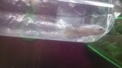 WP_20160410_18_24_04_Pro.jpg