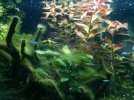 IMG_20160412_165938.jpg
