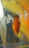 20160413_174439.jpg