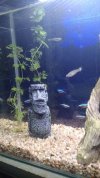 IMG-20160417-WA0097.jpg