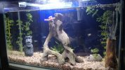 IMG-20160417-WA0101.jpg