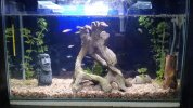 IMG-20160417-WA0102.jpg