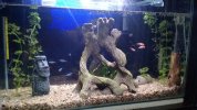IMG-20160417-WA0103.jpg