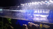 IMG-20160417-WA0100.jpg