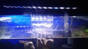 IMG-20160417-WA0098.jpg