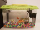 IMG-20160502-WA0008.jpg