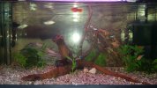 IMG-20160506-WA0014.jpeg