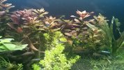 IMG_20160601_183513.jpg