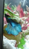 20160113_172542.jpg