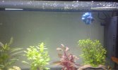 20160224_113021.jpg