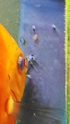 20160608_213503.jpg