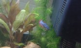 20160624_010045.jpg