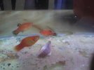 IMG_20160625_115715.jpg