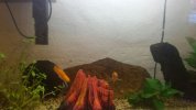 IMG-20160628-WA0005.jpg.jpeg