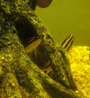 IMG_20160709_094811.JPG