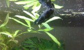20160713_235550.jpg