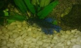 IMG-20160716-WA0021.jpeg