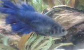 20160705_111255.jpg