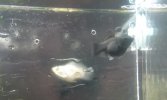 20160712_193859.jpg