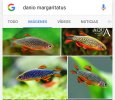 IMG_20160811_235653.jpg