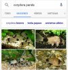 IMG_20160812_020444.jpg