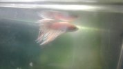 20160805_215808.jpg 20160805_215808.jpg