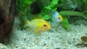 IMG_20200803_125804.jpg