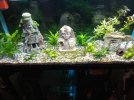 IMG_20200812_173807.jpg